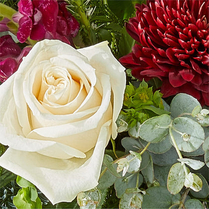 Cranberry Fizz Bouquet – BLOSSOMS & BALLOONS FLORIST, Roseville CA