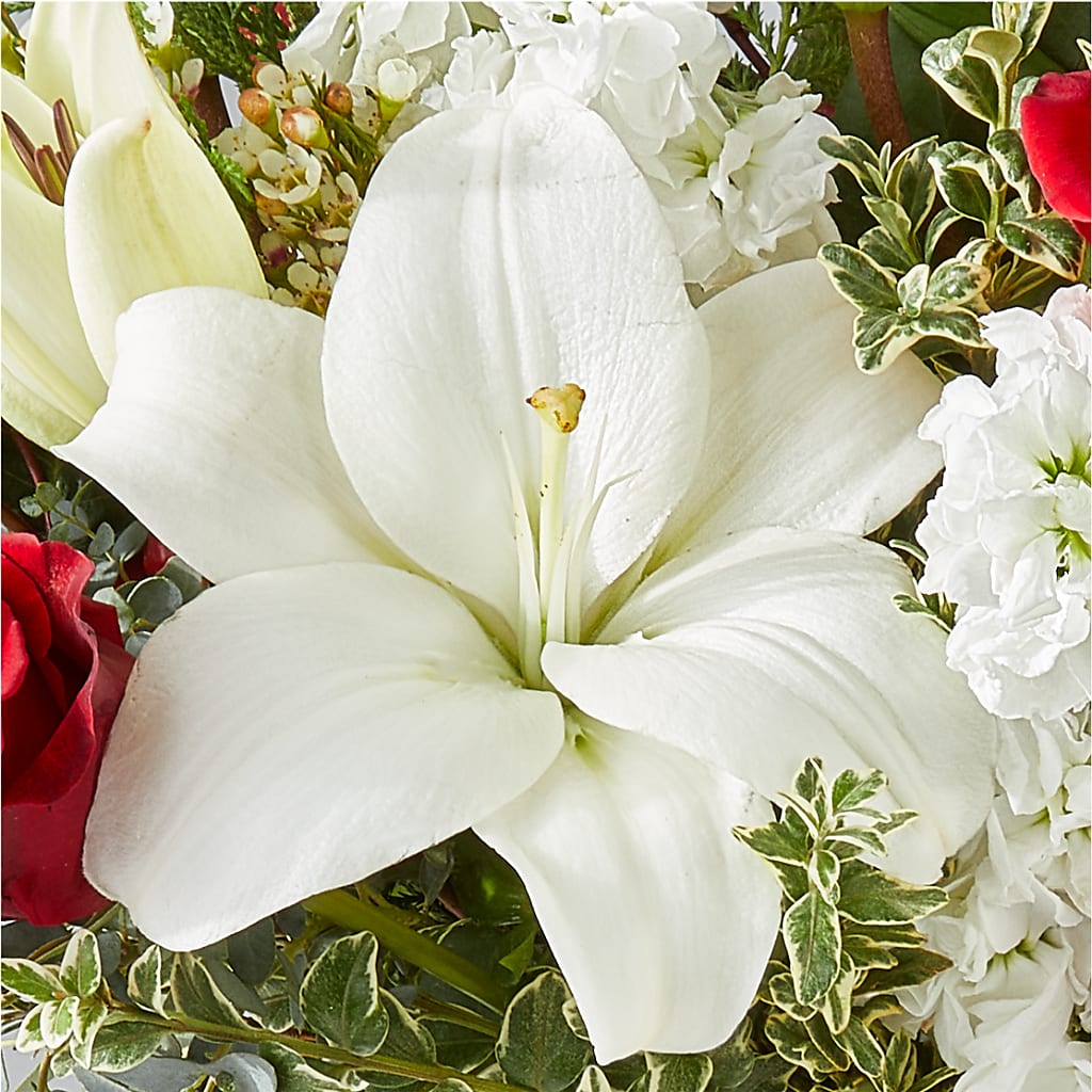 Twinkle Lights Bouquet – BLOSSOMS & BALLOONS FLORIST, Roseville CA