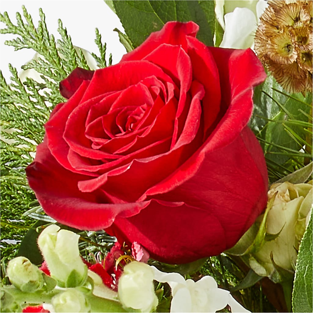 Deck the Halls Bouquet – BLOSSOMS & BALLOONS FLORIST, Roseville CA