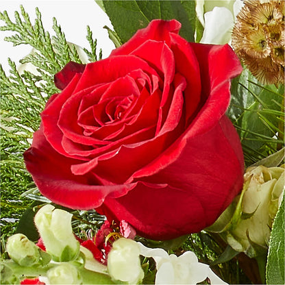 Deck the Halls Bouquet – BLOSSOMS & BALLOONS FLORIST, Roseville CA