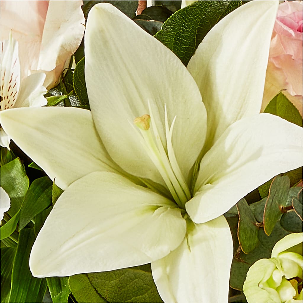 Ballet Slippers Bouquet – BLOSSOMS & BALLOONS FLORIST, Roseville CA