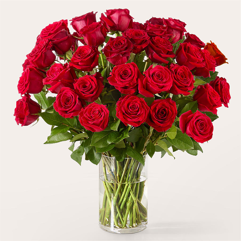 The One Red Rose Bouquet – BLOSSOMS & BALLOONS FLORIST, Roseville CA