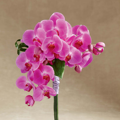Glorious Bouquet – BLOSSOMS & BALLOONS FLORIST, Roseville CA