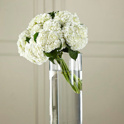White Hydrangea Hand-Tied Bouquet – BLOSSOMS & BALLOONS FLORIST, Roseville CA