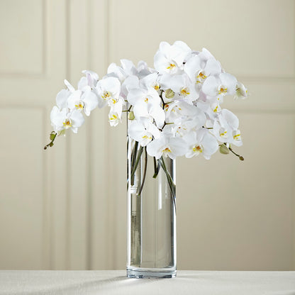 White Phalaenopsis Bouquet – BLOSSOMS & BALLOONS FLORIST, Roseville CA