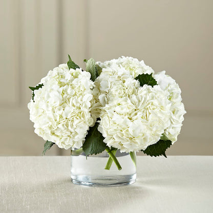 White Hydrangea Bouquet – BLOSSOMS & BALLOONS FLORIST, Roseville CA