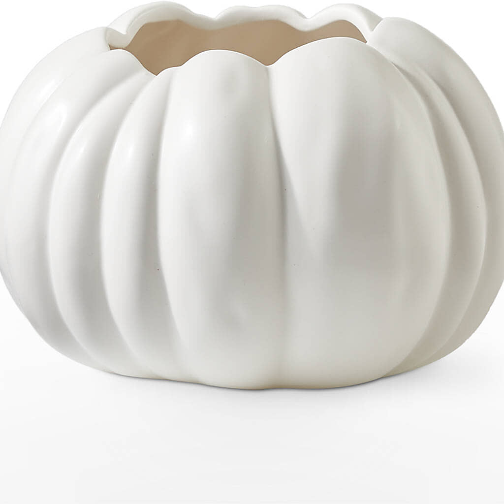 Pumpkin to Talk About Bouquet – BLOSSOMS & BALLOONS FLORIST, Roseville CA